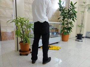 Photo_2
